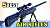 5 Best Budget Air Rifle For Umarex Lovers Best Air Rifle 2020