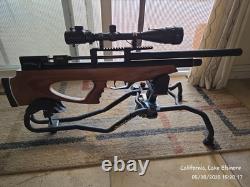 AEA Challenger Bullpup. 25