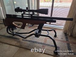 AEA Challenger Bullpup. 25