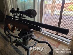 AEA Challenger Bullpup. 25