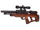 Beeman Under-lever 1358.22 Cal Pellets Pcp Air Rifle Precharged 880 Fps