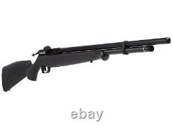 Benjamin Fortitude Gen. 2 PCP Air Rifle Regulated 0.22 Cal 800 FPS