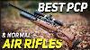 Best Pcp U0026 Normal Air Rifles In The World 2022