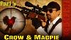 Crow U0026 Magpie Pest Control With Pcp Air Rifle Part 5