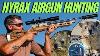 Extreme Hyrax Air Gun Hunting I High Power Dassie Airgun Hunting I Fx Impact Pest Control