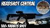 Headshot Central With My Fx Impact M3 22 Calibre Pcp Air Rifle Rabbit Hunting U0026 Shooting