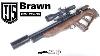 Jts Brawn Review Bullpup Pcp Rifle Top Accuracy At 499