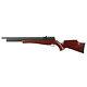 Pinty 800 Fps Pcp Pellet Gun Air Rifle. 22 Caliber Pellet Air Rifle 9 Pellet