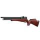 Pinty 800 Fps Pcp Pellet Gun Air Rifle. 22 Caliber Pellet Air Rifle 9 Pellet