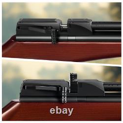PINTY 800 FPS PCP Pellet Gun Air Rifle. 22 Caliber Pellet Air Rifle 9 Pellet