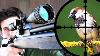 Pest Bird Hunting With 25 Air Rifle Scope Cam