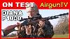 Review Diana P1000 Air Rifle Pcp