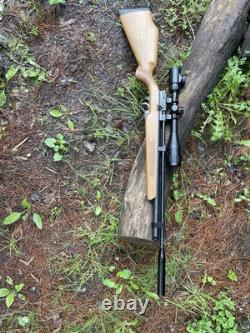 Storm Rider 22cal PCP Shoots Good