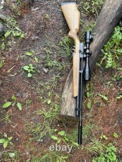 Storm Rider 22cal PCP Shoots Good