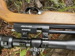 Storm Rider 22cal PCP Shoots Good