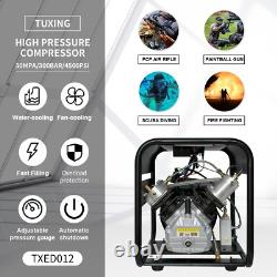 TUXING Pcp Air Compressor 4500PSI, Auto-stop Double Cylinder Pump for Air Rifle
