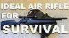 The Ideal Air Rifle For Survival Pcp With Built In Pump