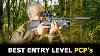 Top 5 Best Pcp Air Rifles For Beginners Best Entry Level Pcp Air Rifles