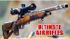 Top 6 Best Air Rifles Perfect For Big Game Hunting