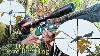 Ultimate Dove Hunt Pcp Airgun Hunting
